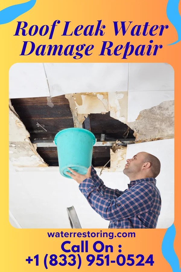Roof Leak Water Damage Repair in Derby, KS